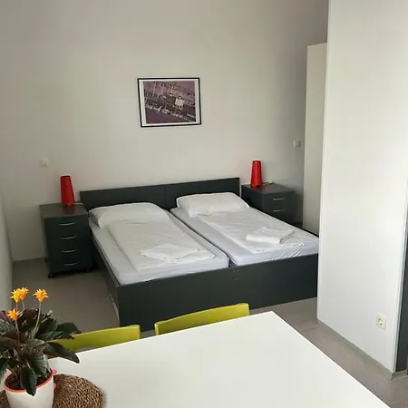 Hostel Villa Domus-2